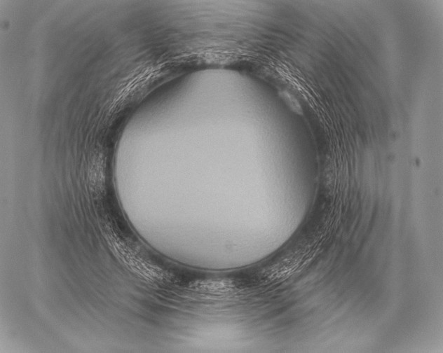 X0000059840639200511111745