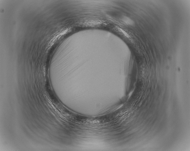 X0000059840640200511111745