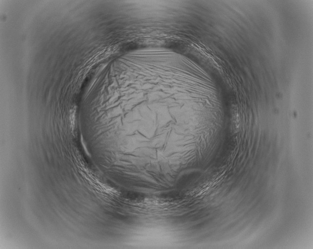 X0000059840641200511111745