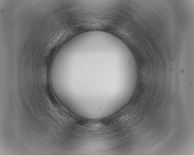 X0000059840642200511111745