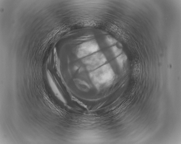 X0000059840643200511111746