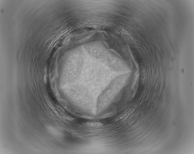 X0000059840644200511111746