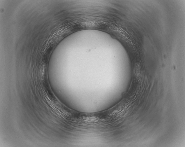 X0000059840645200511111746