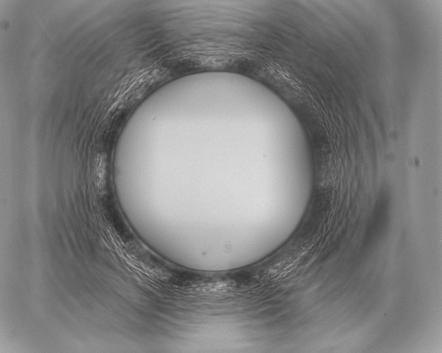 X0000059840646200511111746