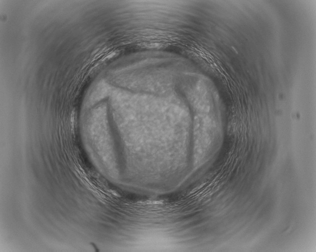 X0000059840647200511111746