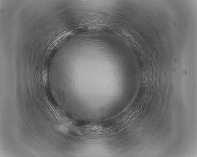 X0000059840648200511111746