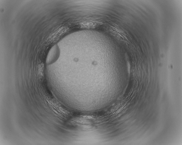 X0000059840649200511111746