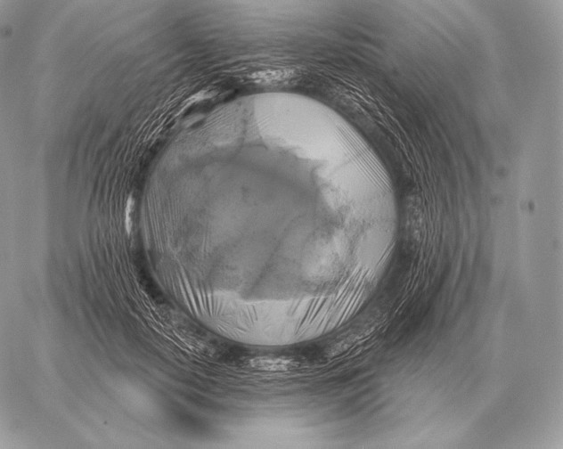 X0000059840650200511111746