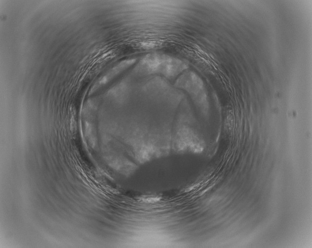 X0000059840651200511111746