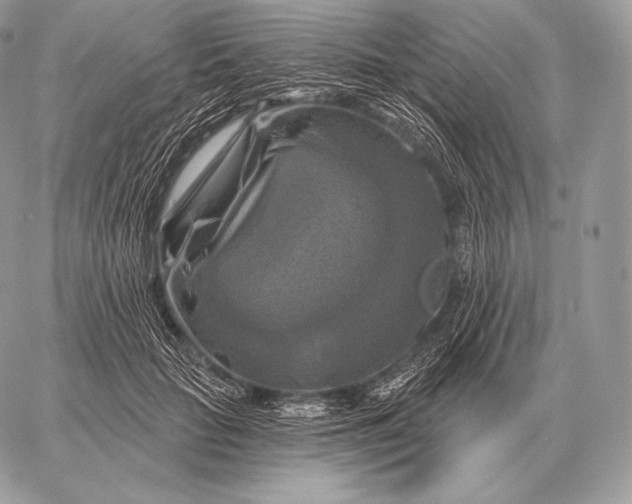 X0000059840653200511111746