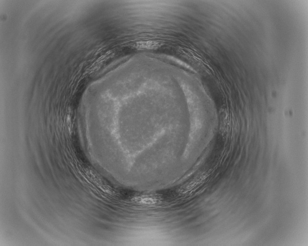 X0000059840655200511111746