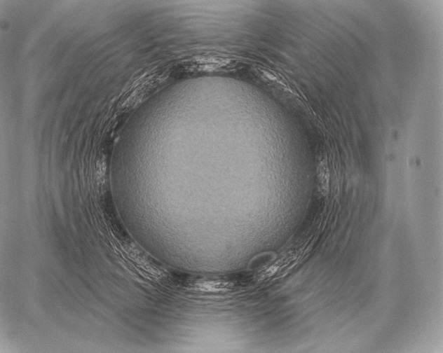 X0000059840657200511111746