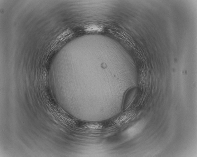 X0000059840659200511111746