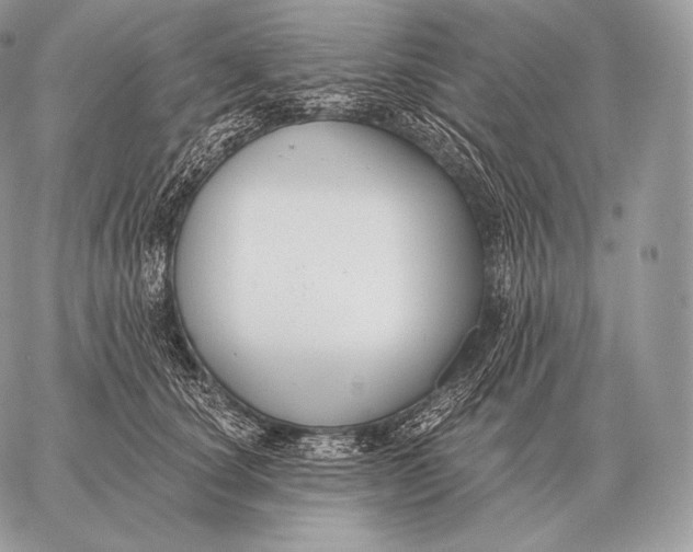 X0000059840660200511111746