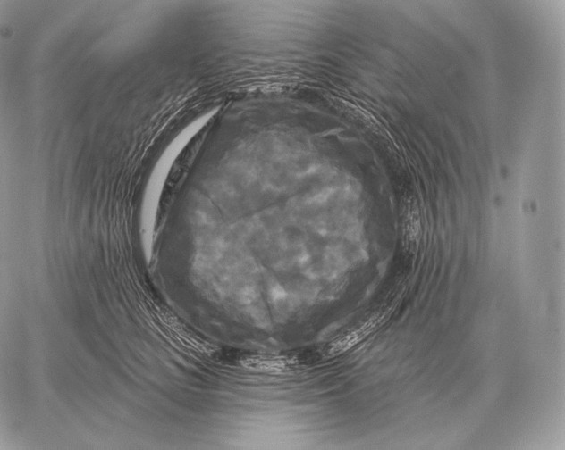 X0000059840661200511111746