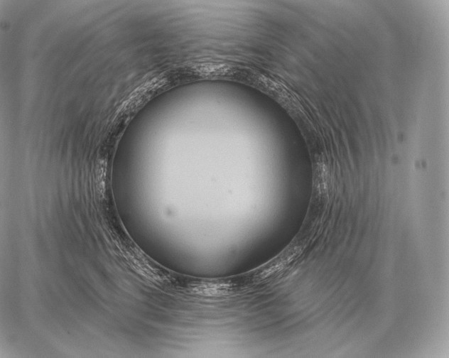 X0000059840664200511111746