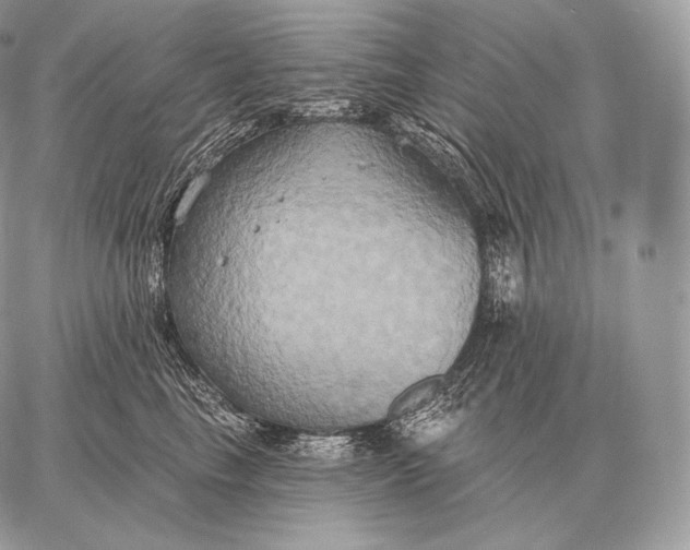 X0000059840665200511111746