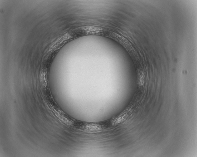 X0000059840666200511111746