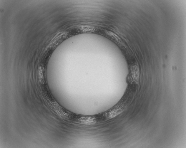 X0000059840667200511111746