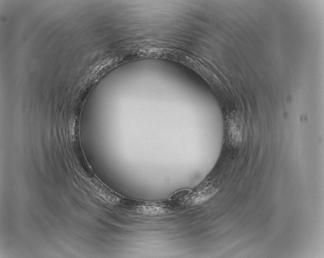 X0000059840668200511111746