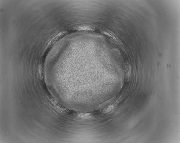 X0000059840669200511111746