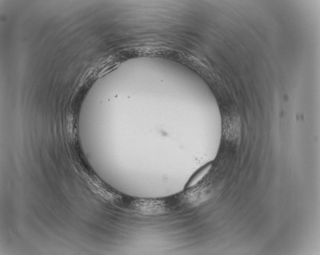 X0000059840670200511111746