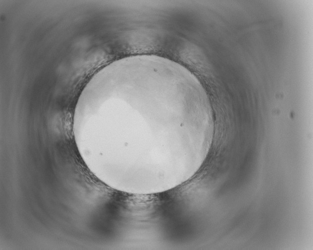 X0000059840672200511111746