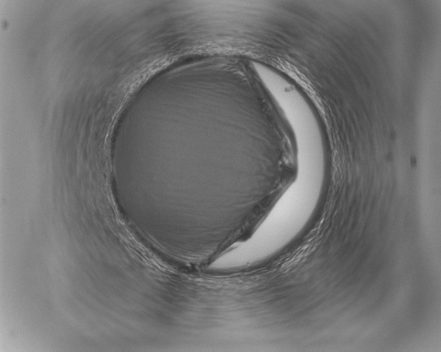 X0000059840673200511111745