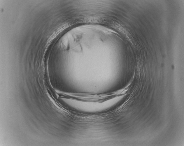 X0000059840674200511111745