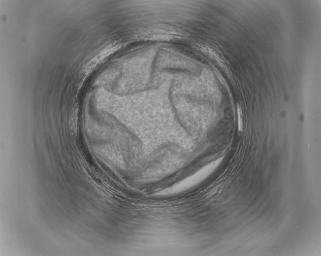 X0000059840675200511111745