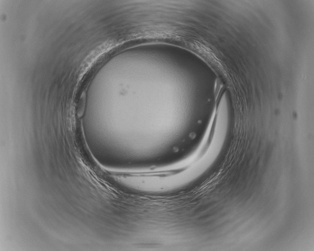 X0000059840676200511111745