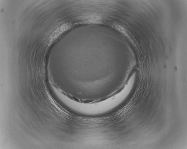 X0000059840677200511111745