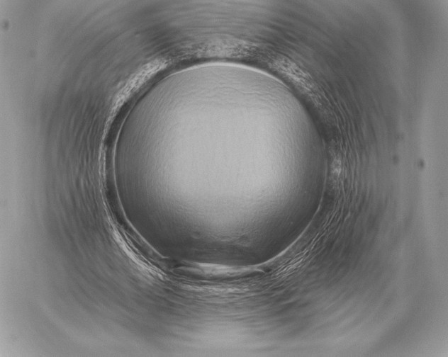 X0000059840678200511111745