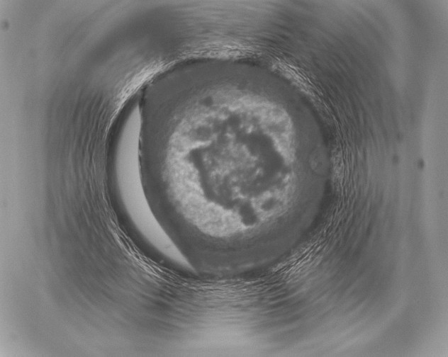 X0000059840679200511111745