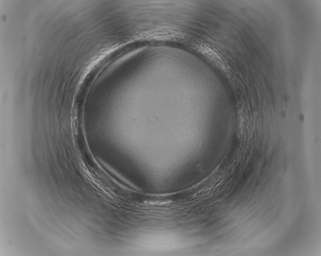 X0000059840680200511111745