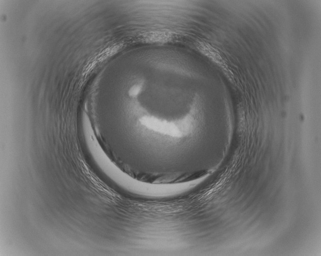 X0000059840681200511111745