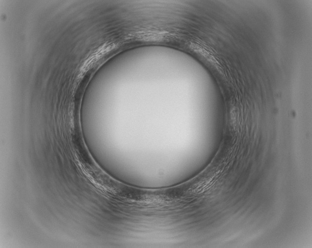 X0000059840682200511111745