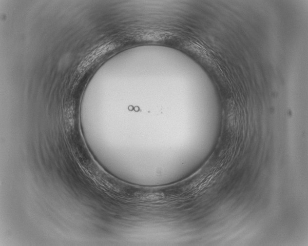 X0000059840683200511111745