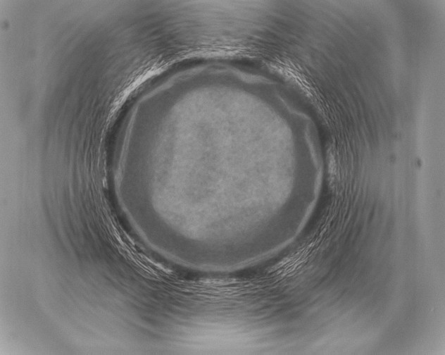 X0000059840684200511111745