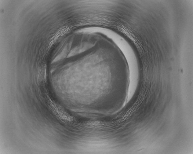 X0000059840685200511111745