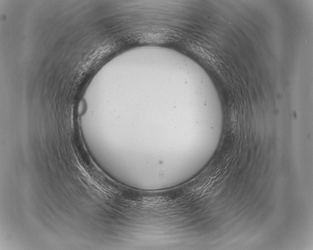 X0000059840686200511111745