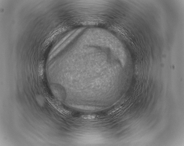 X0000059840687200511111745