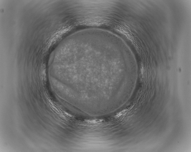 X0000059840688200511111745