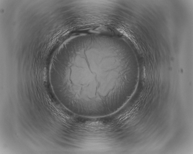 X0000059840689200511111745