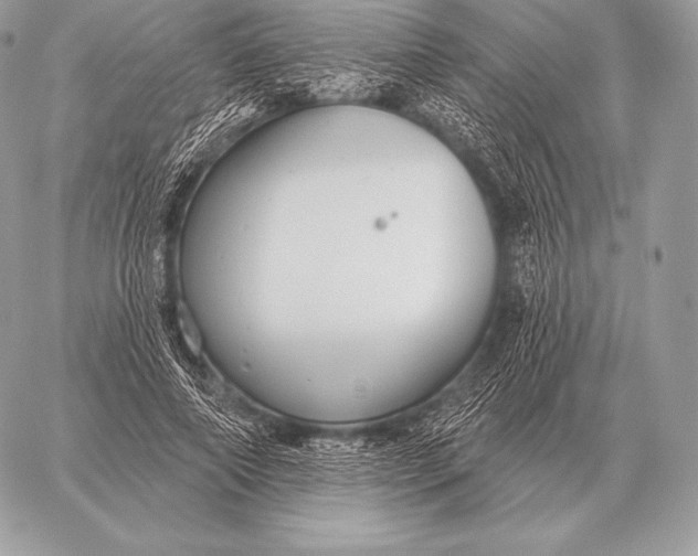 X0000059840690200511111745