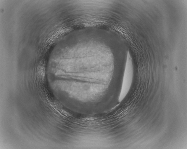 X0000059840691200511111745