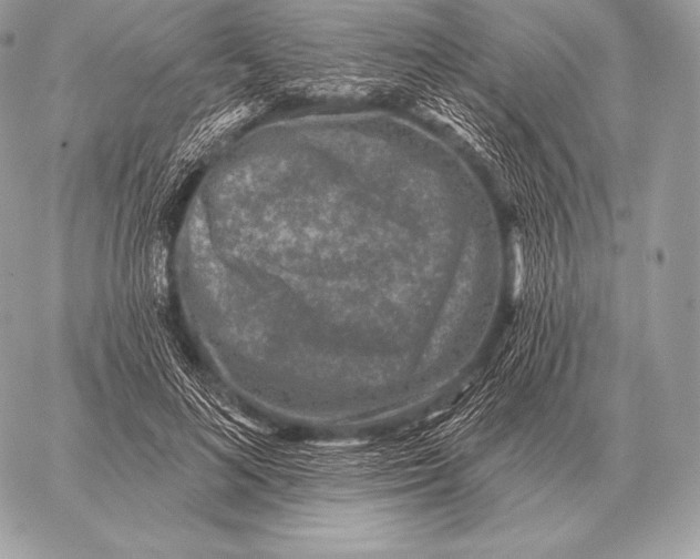 X0000059840692200511111745