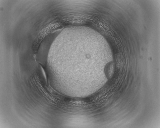 X0000059840695200511111745