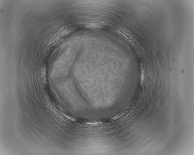 X0000059840696200511111745