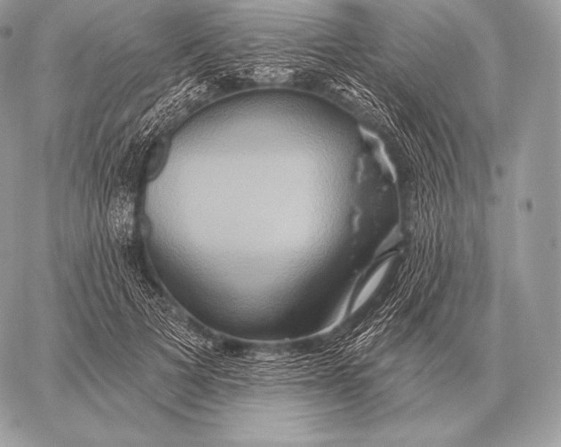 X0000059840697200511111745